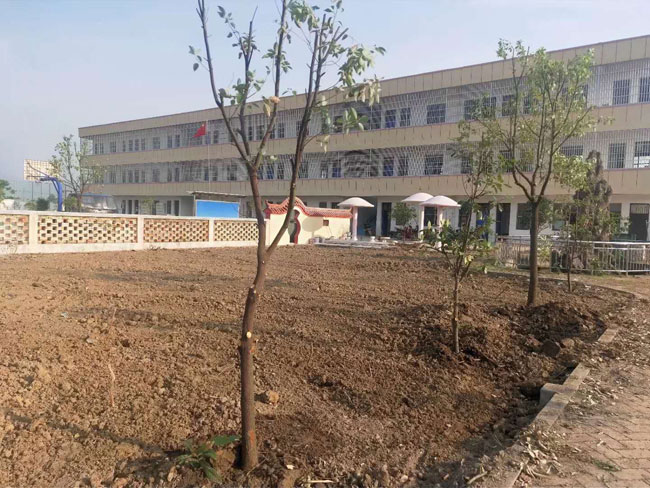 湖北青少年特训学校教学楼正面图