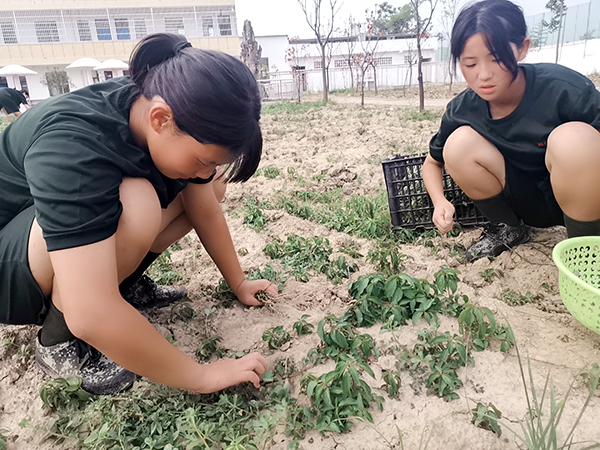 学生在特训学校劳动基地采摘野菜(图1)