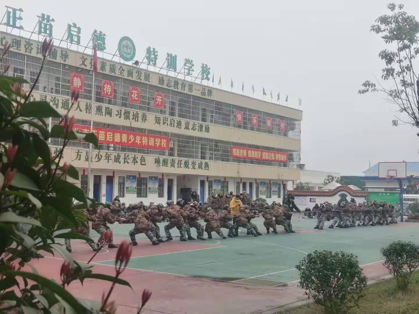 正苗启德青少年特训学校拔河比赛