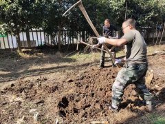 如何选择男孩和女孩的教育方法呢？