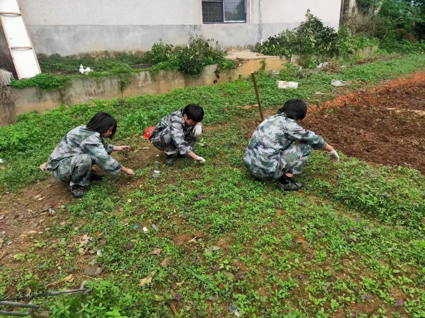 正苗启德青少年特训学校学生