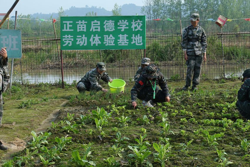                   种植基地